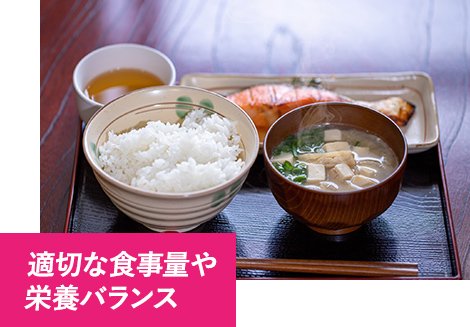 適切な食事量や栄養バランス
