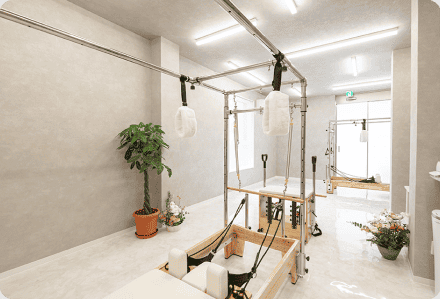Studio Venus