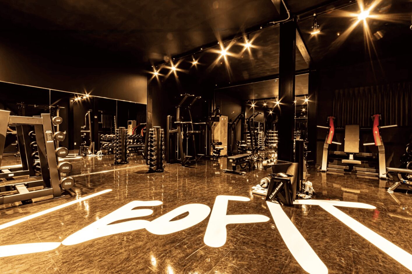 LEO FIT